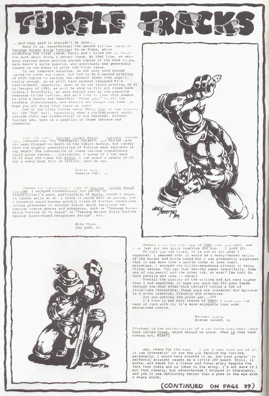 Teenage Mutant Ninja Turtles (1984) Issue #2 #2 - English 3