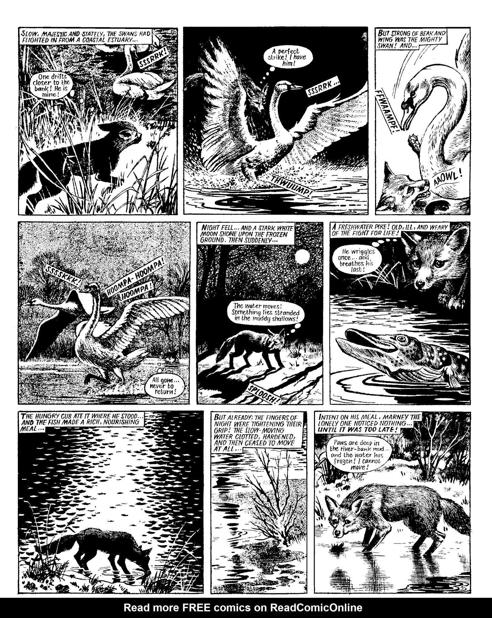 Read online Marney the Fox comic -  Issue # TPB (Part 1) - 54