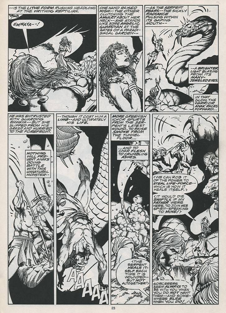 Read online The Savage Sword Of Conan comic -  Issue #215 - 25