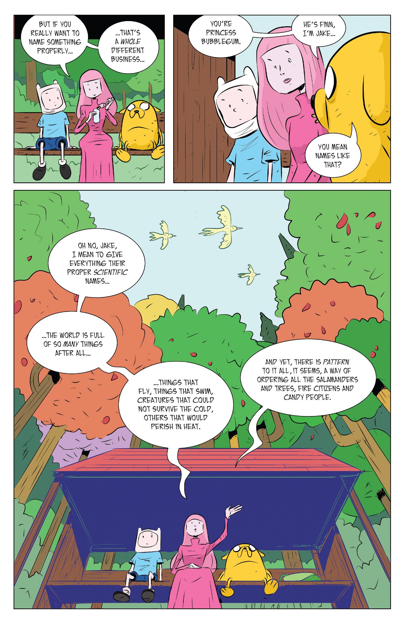Read online Adventure Time Comics comic -  Issue #25 - 17