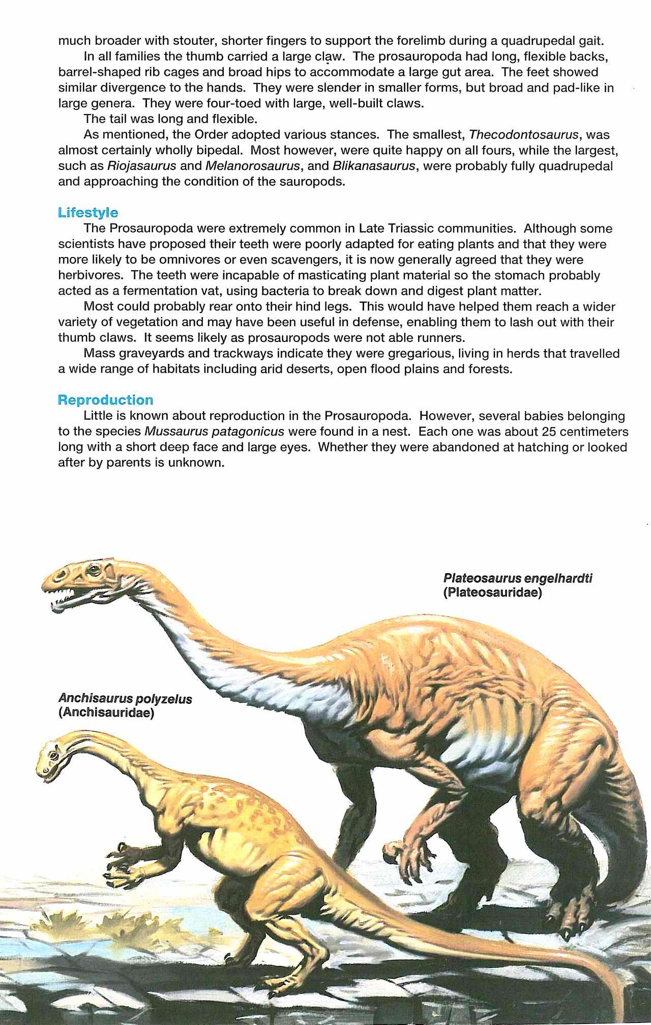 Read online Dinosaurs, A Celebration comic -  Issue #2 - 27