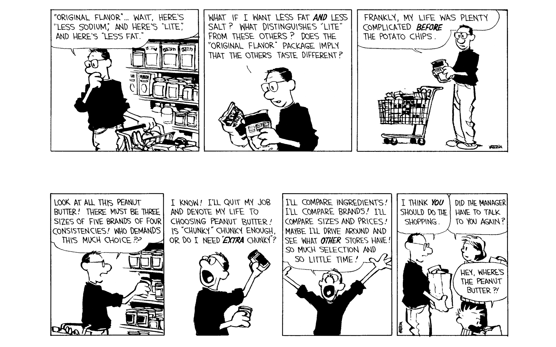 Read online Calvin and Hobbes comic -  Issue #11 - 105