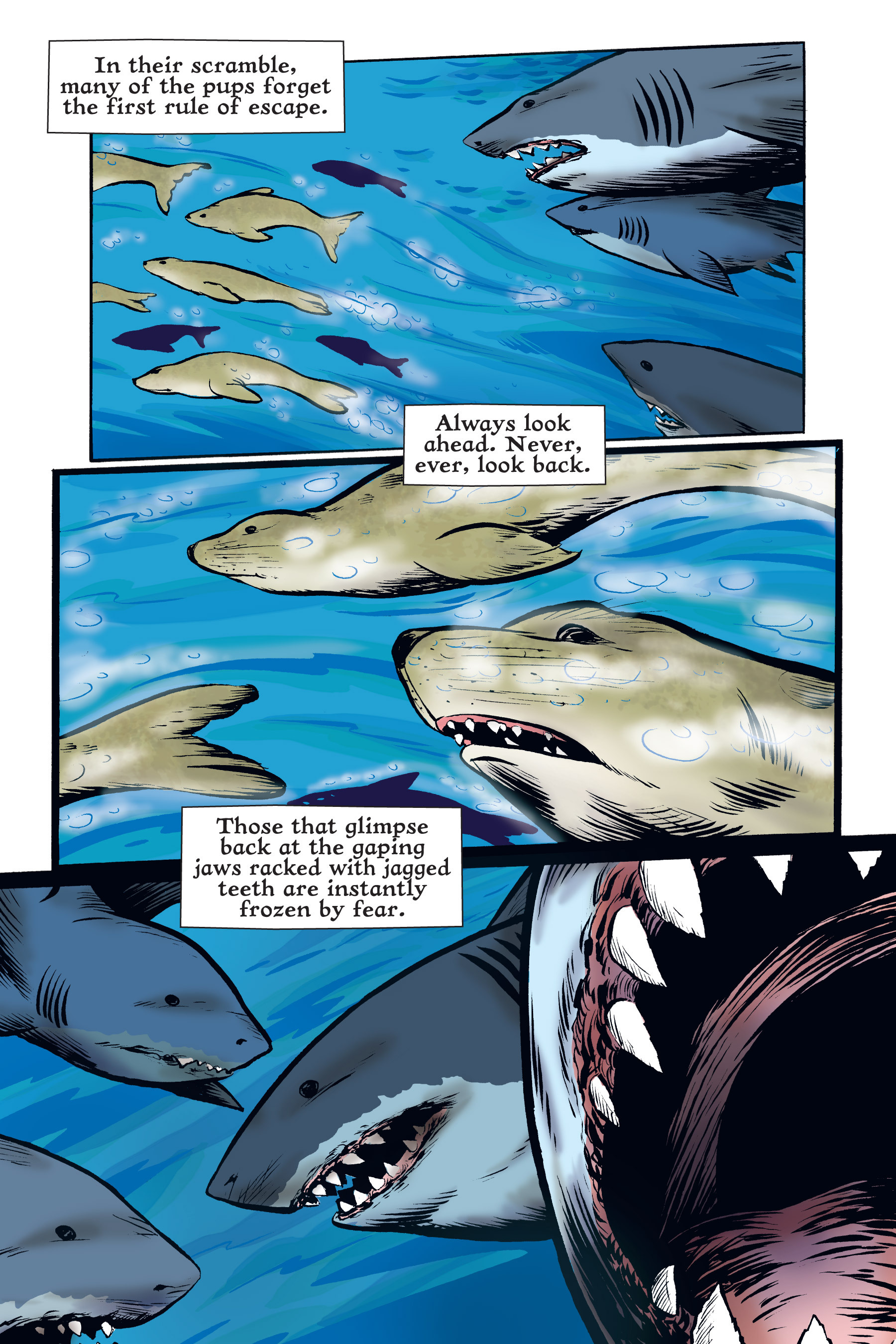 Read online Xoc: Journey of a Great White comic -  Issue # TPB - 23