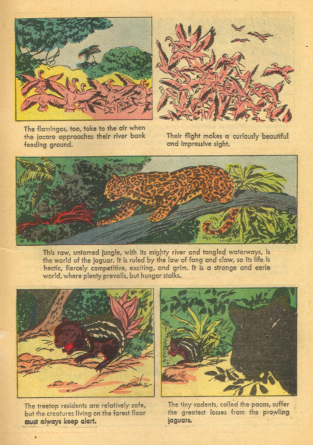 Read online Four Color Comics comic -  Issue #1136 - 11