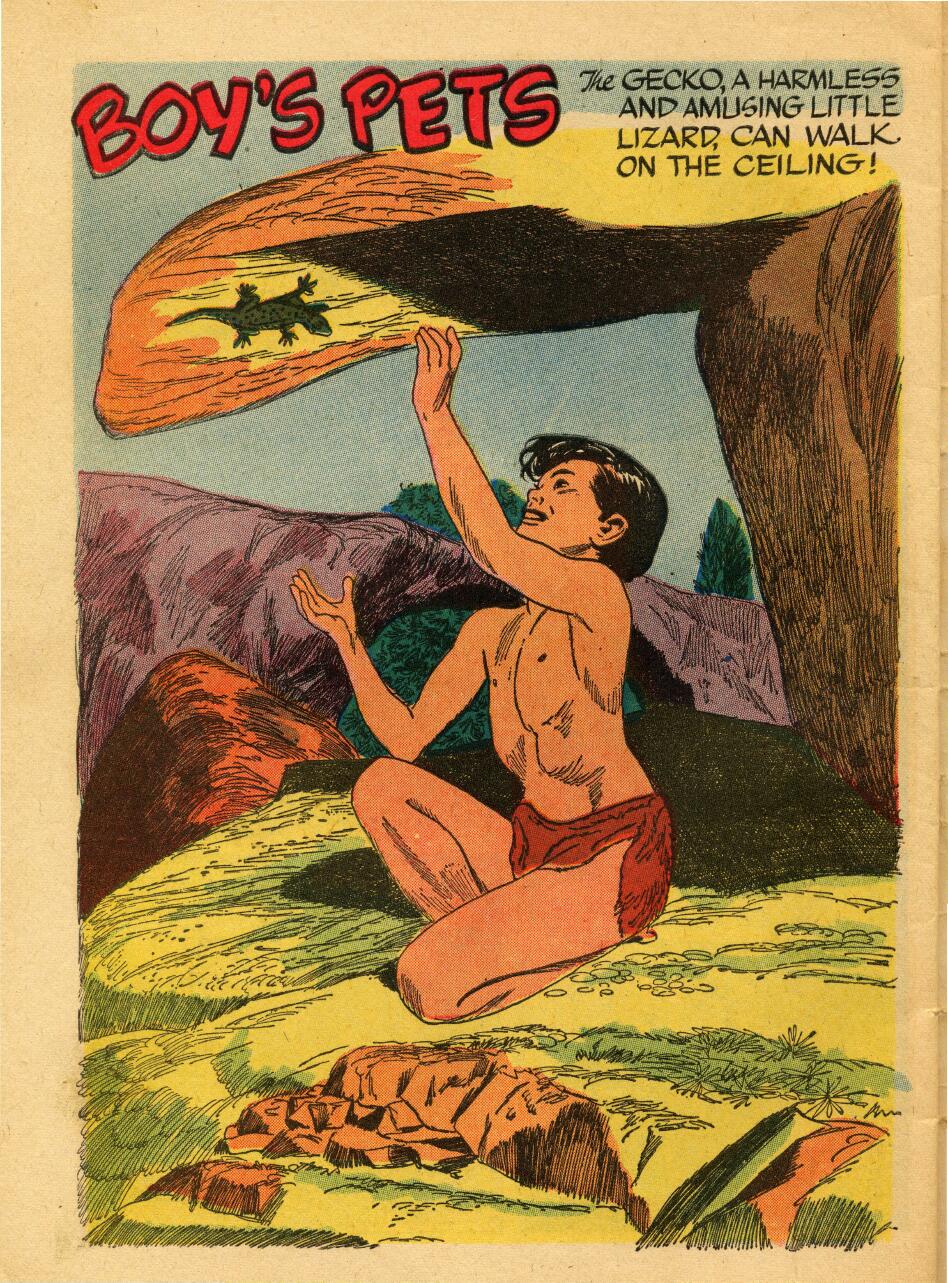 Read online Tarzan (1948) comic -  Issue #53 - 50