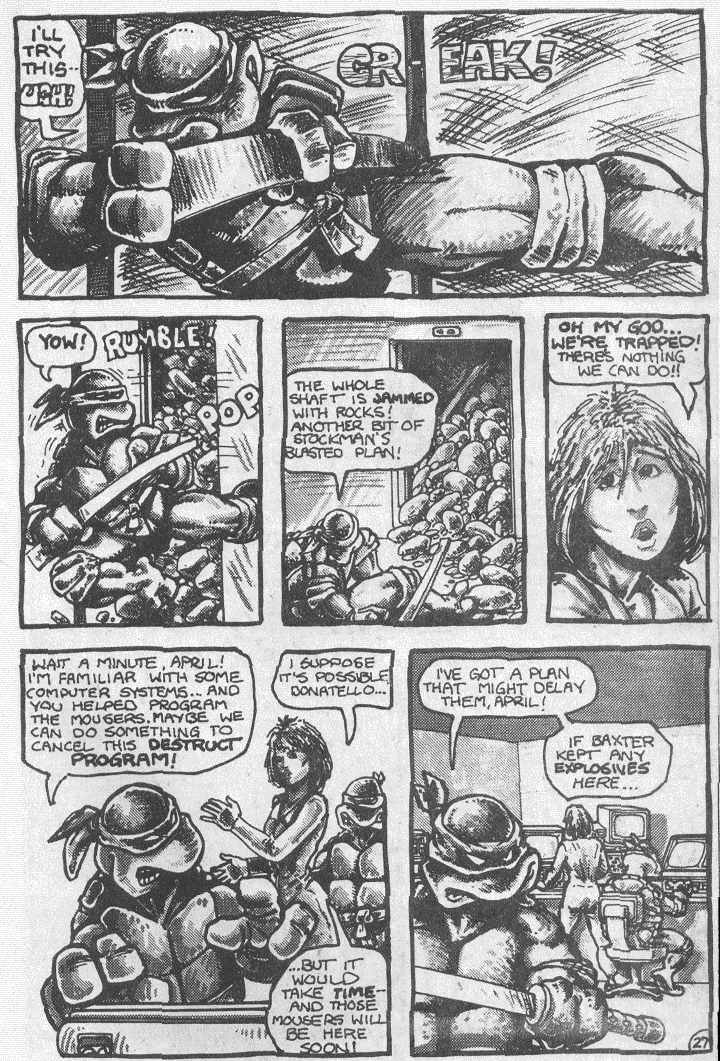 Teenage Mutant Ninja Turtles (1984) Issue #2 #2 - English 29
