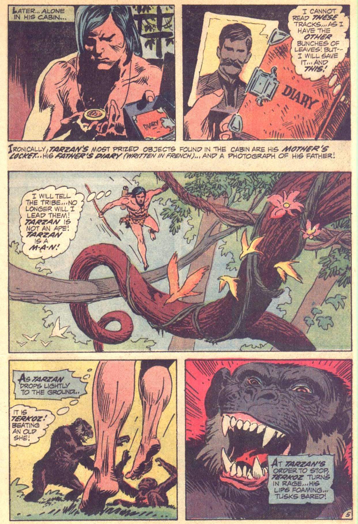 Read online Tarzan (1972) comic -  Issue #209 - 5