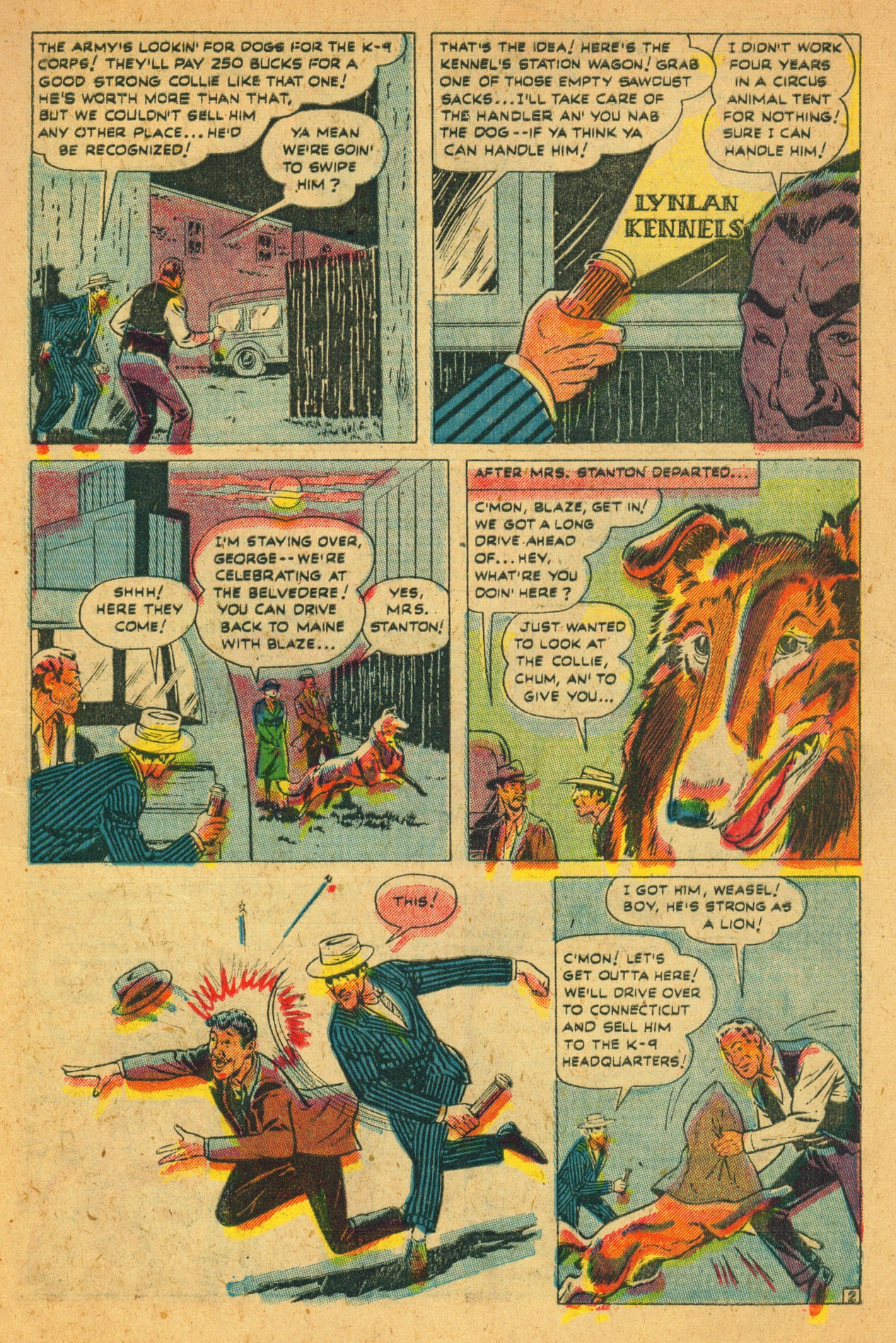 Read online Blaze the Wonder Collie comic -  Issue #2 - 5