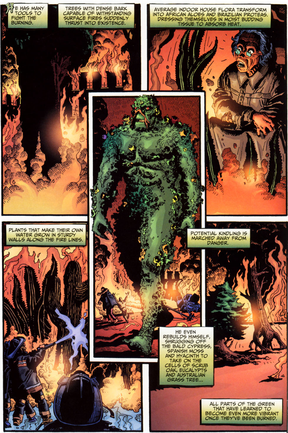 Read online Swamp Thing (2004) comic -  Issue #28 - 11