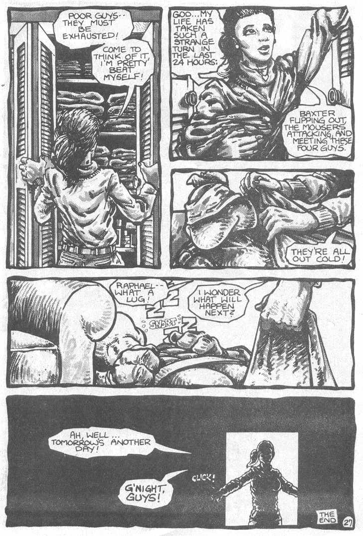 Teenage Mutant Ninja Turtles (1984) Issue #3 #3 - English 30