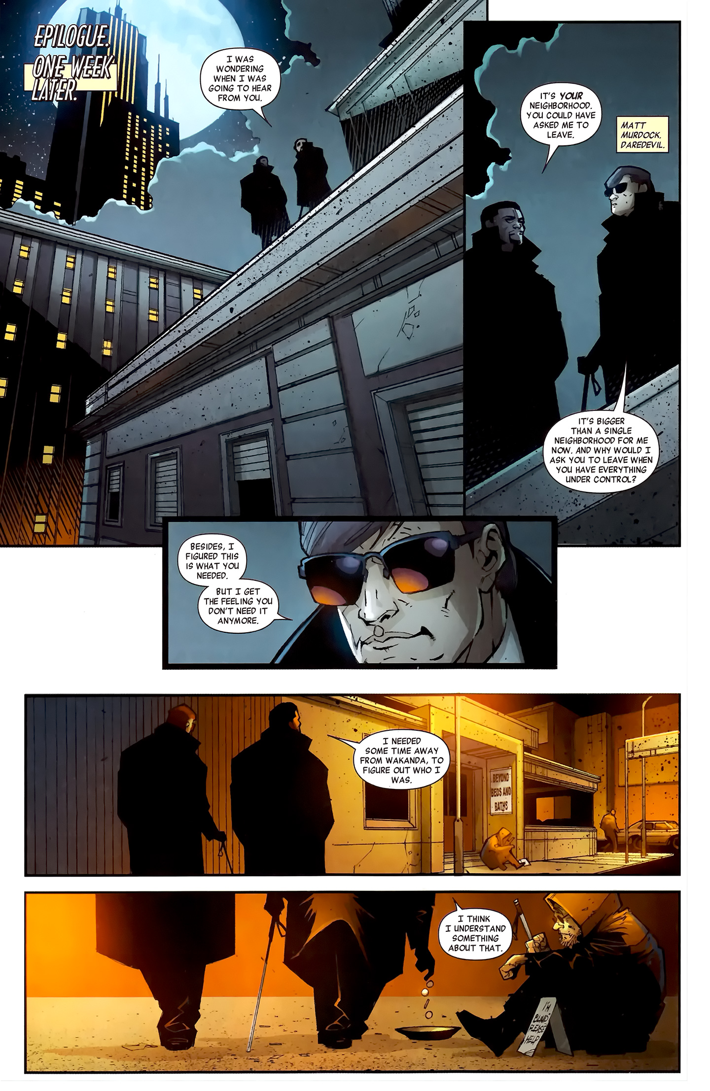 Black Panther: The Most Dangerous Man Alive 529 Page 18