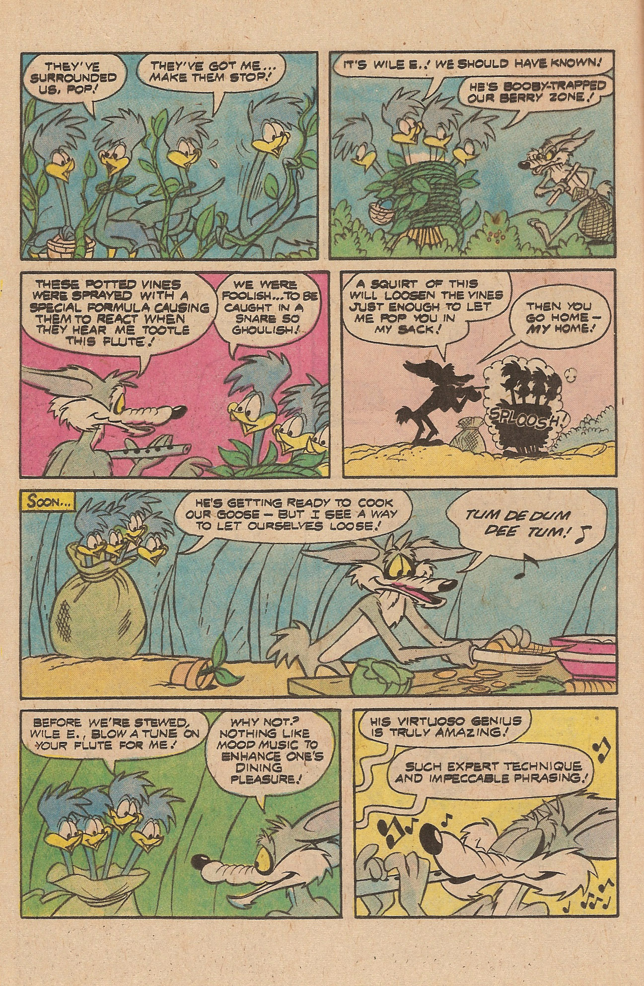 Read online Beep Beep The Road Runner comic -  Issue #66 - 12