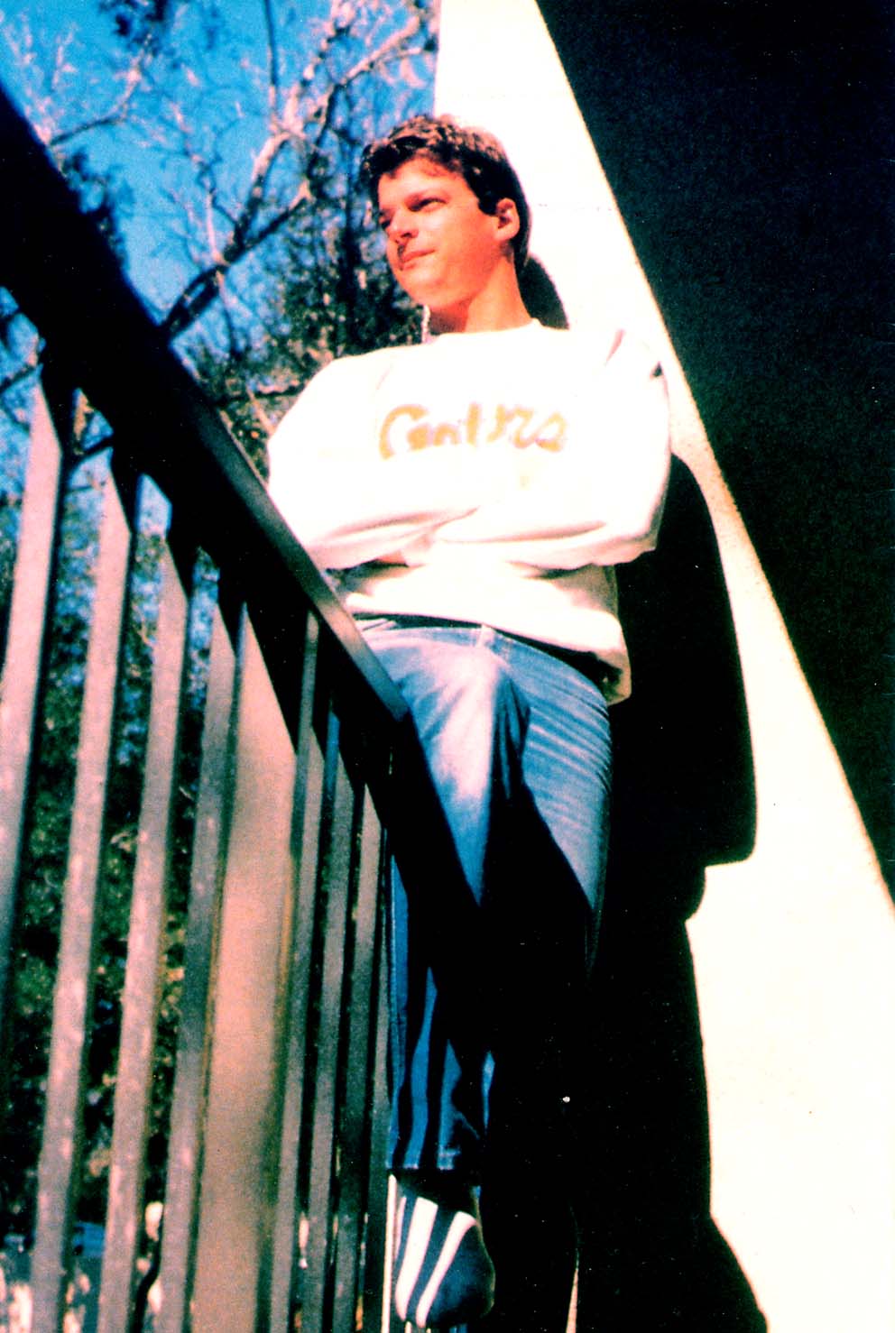 Read online Cerebus comic -  Issue #83 - 28