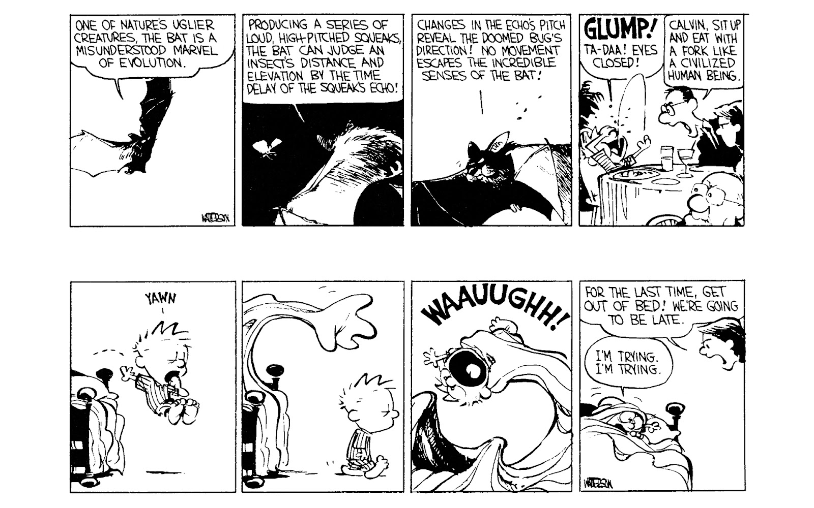 Calvin and Hobbes issue 3 - Page 49