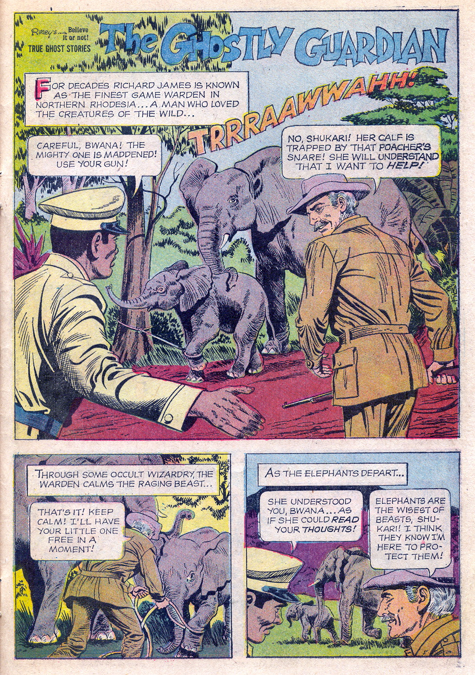 Read online Ripley's Believe it or Not! (1965) comic -  Issue #16 - 27
