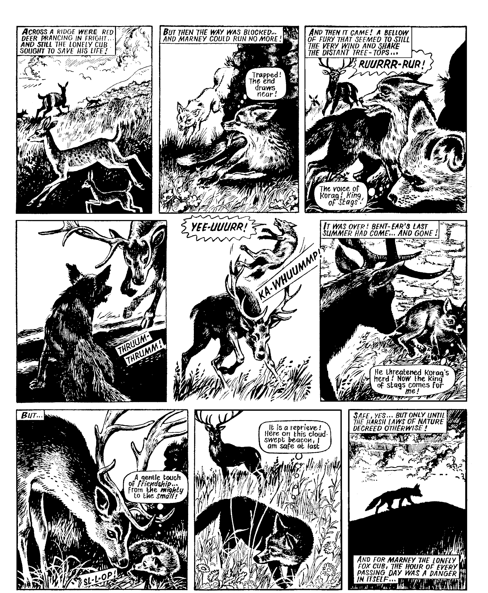 Read online Marney the Fox comic -  Issue # TPB (Part 1) - 22