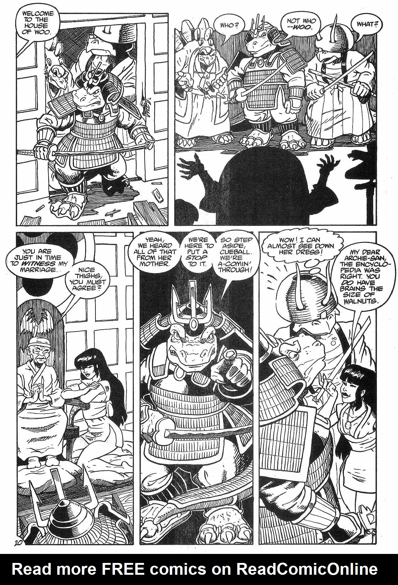 Read online Dinosaurs For Hire (1988) comic -  Issue #8 - 22