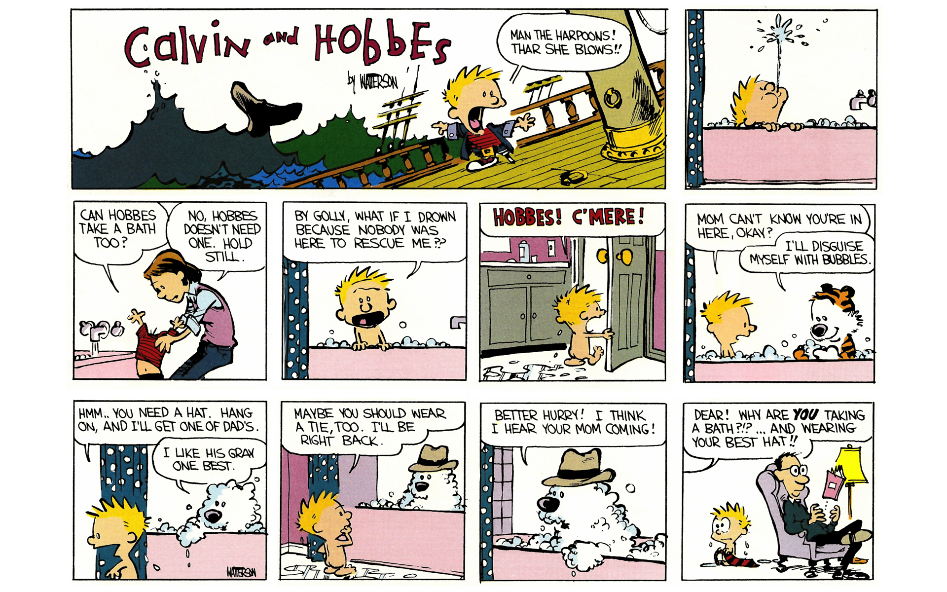 Read online Calvin and Hobbes comic -  Issue #1 - 53