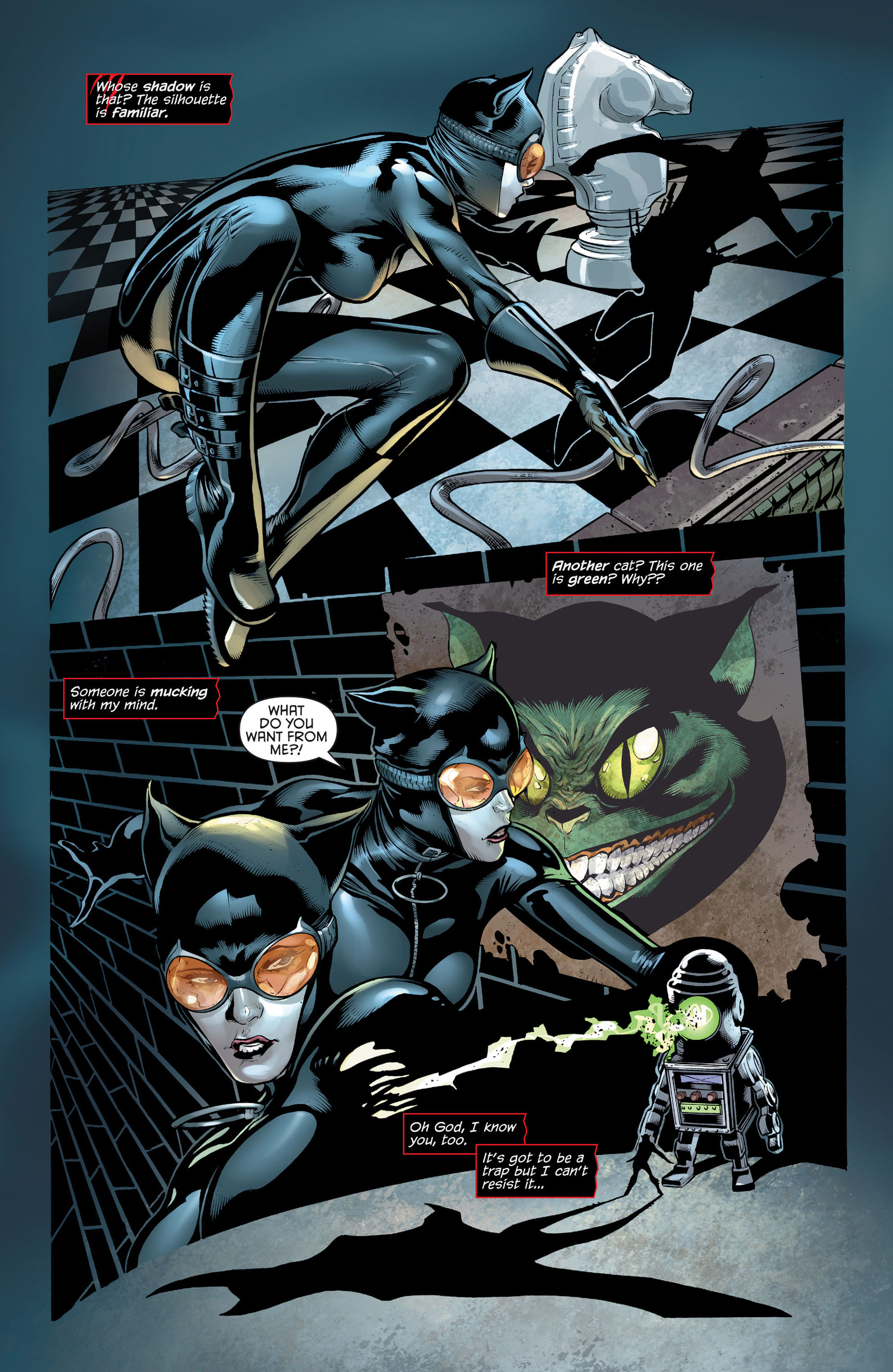 Read online Catwoman (2011) comic -  Issue #13 - 7