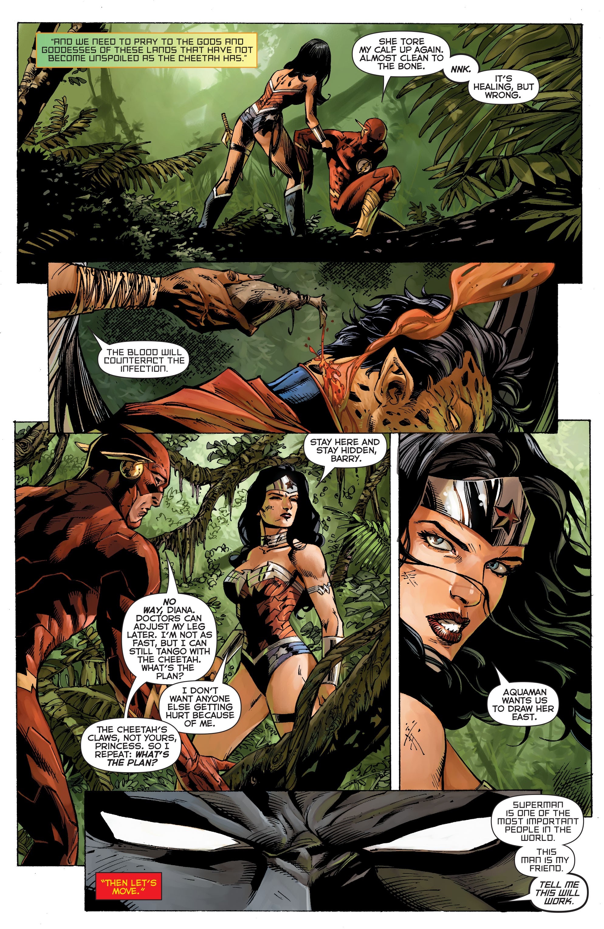 Read online Wonder Woman: Her Greatest Victories comic -  Issue # TPB (Part 2) - 1