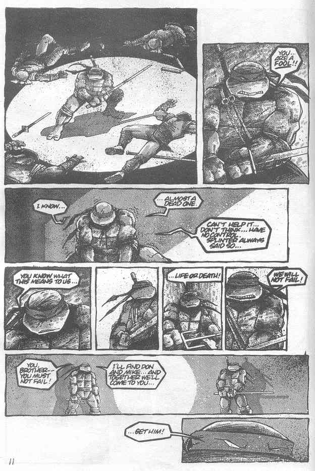 Teenage Mutant Ninja Turtles (1984) Issue #21 #21 - English 13