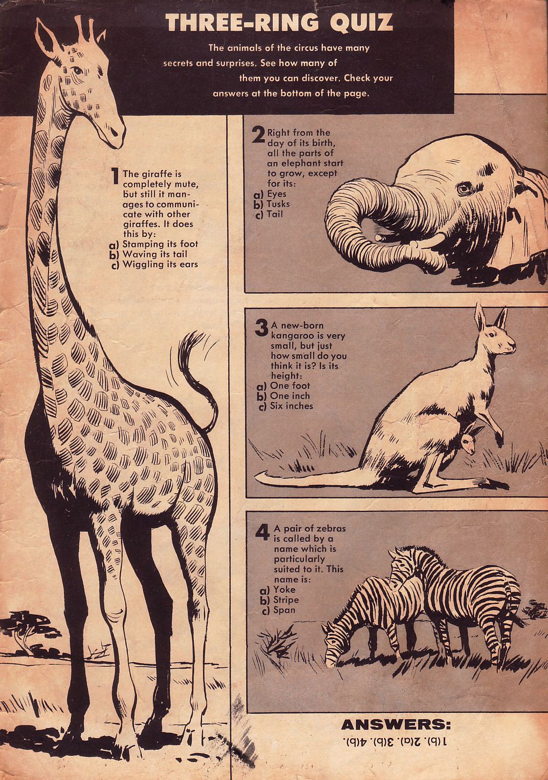 Read online Four Color Comics comic -  Issue #759 - 35