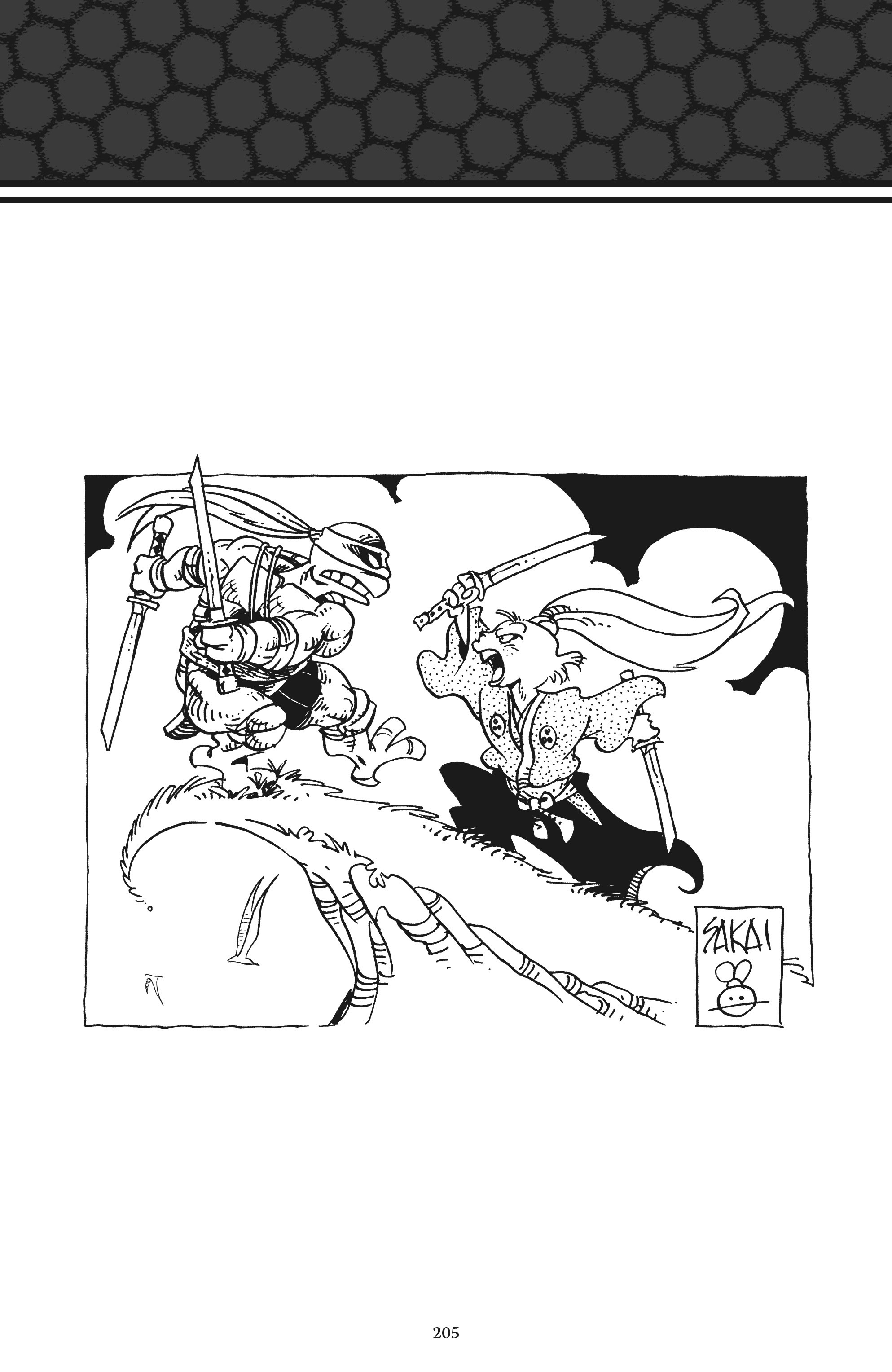 Read online Usagi Yojimbo/Teenage Mutant Ninja Turtles: The Complete Collection comic -  Issue # TPB (Part 2) - 94