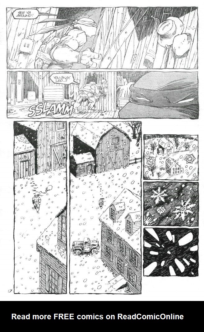 Read online Teenage Mutant Ninja Turtles (1984) comic -  Issue #19 - 18