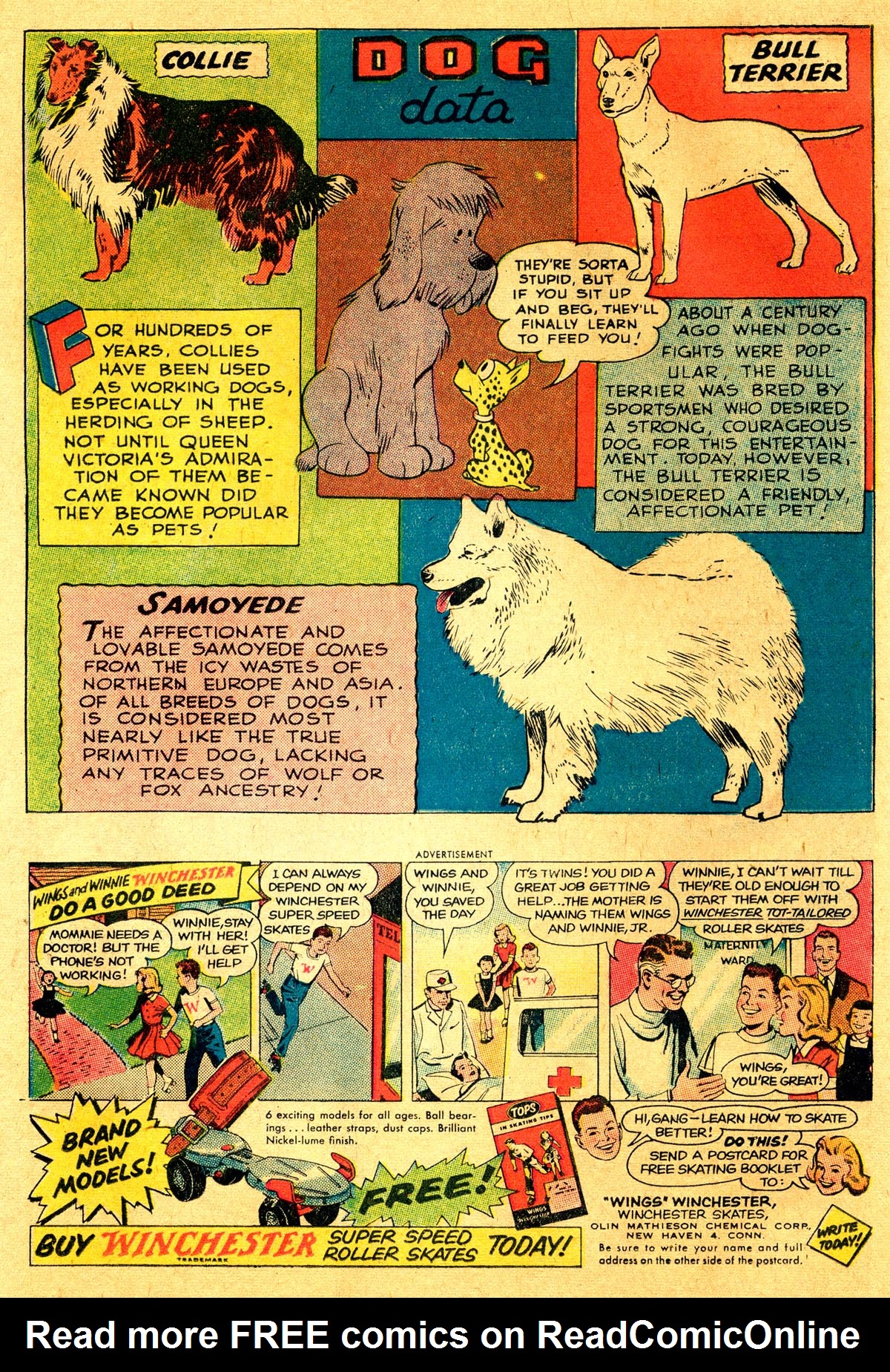 Read online The Adventures of Rex the Wonder Dog comic -  Issue #40 - 13