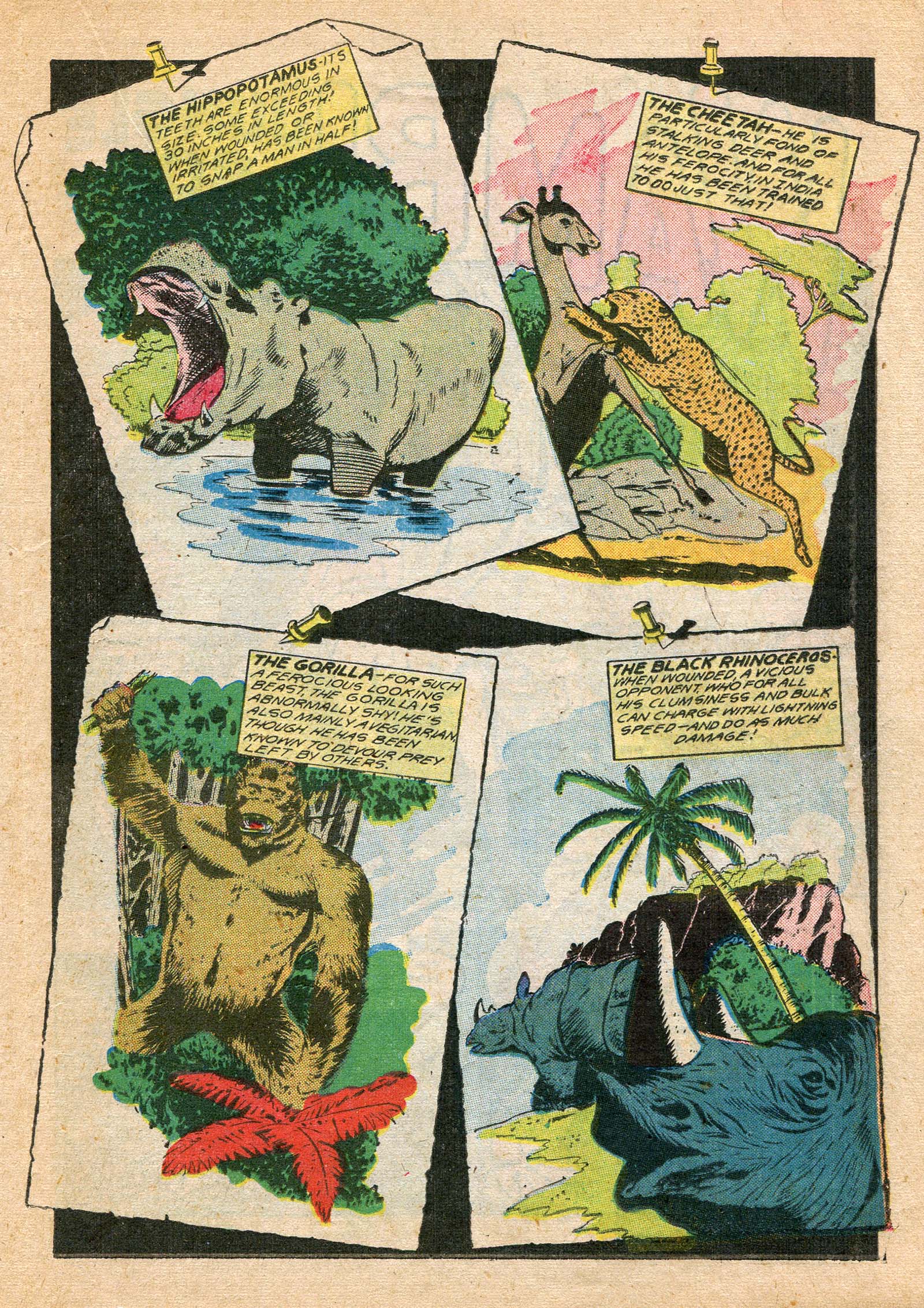 Read online Wambi Jungle Boy comic -  Issue #7 - 29