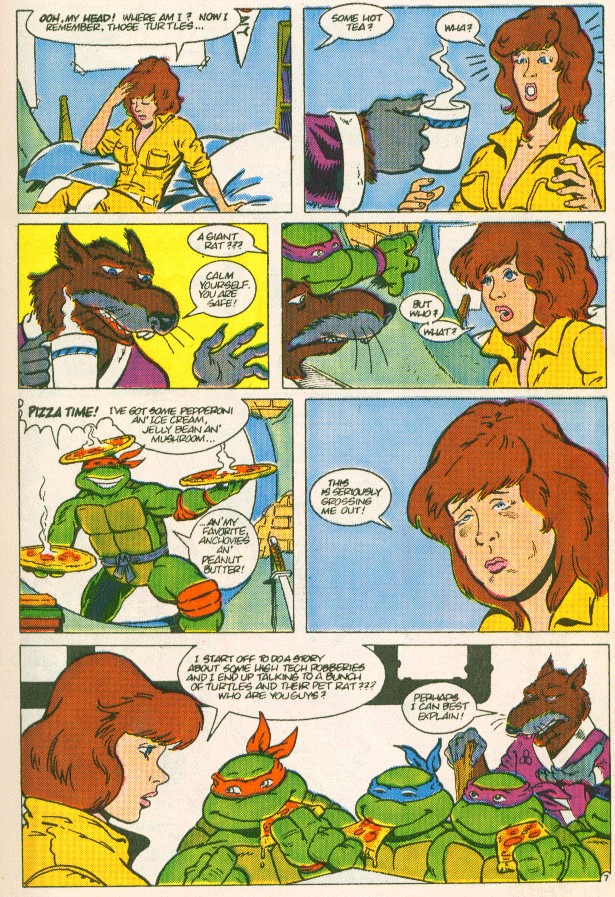 Read online Teenage Mutant Ninja Turtles Adventures (1988) comic -  Issue #1 - 8