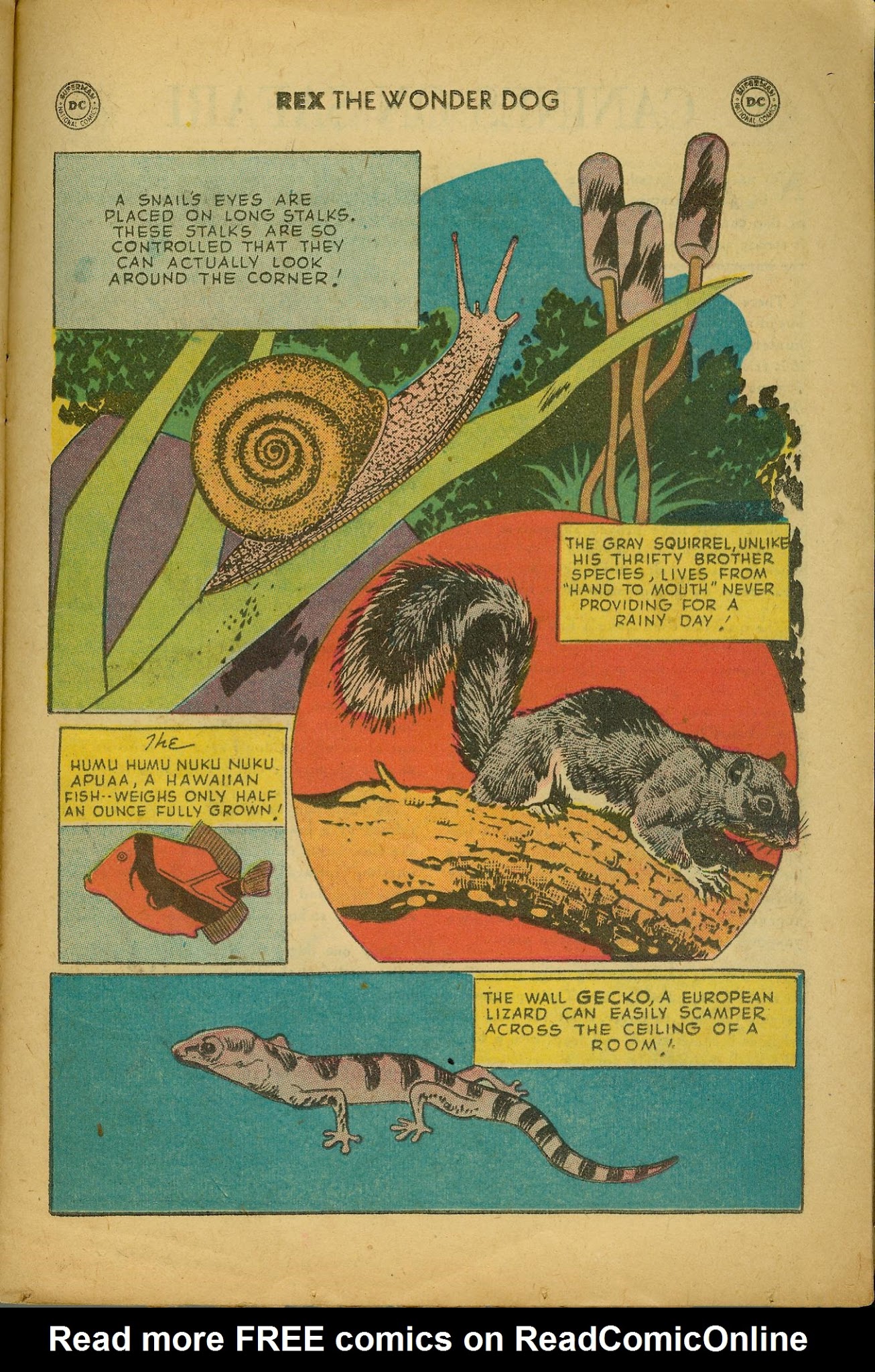 Read online The Adventures of Rex the Wonder Dog comic -  Issue #39 - 23