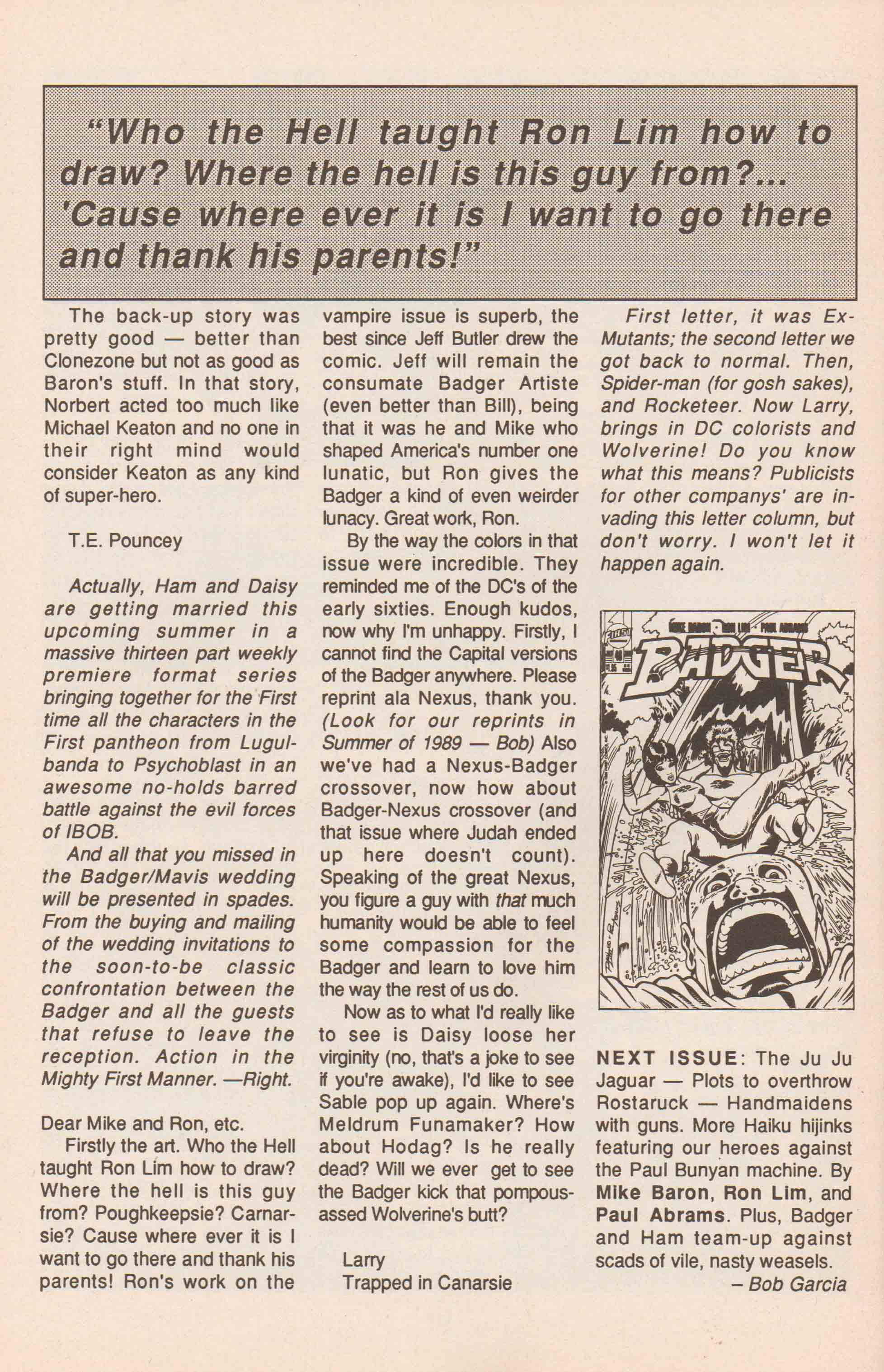 Read online The Badger comic -  Issue #47 - 34