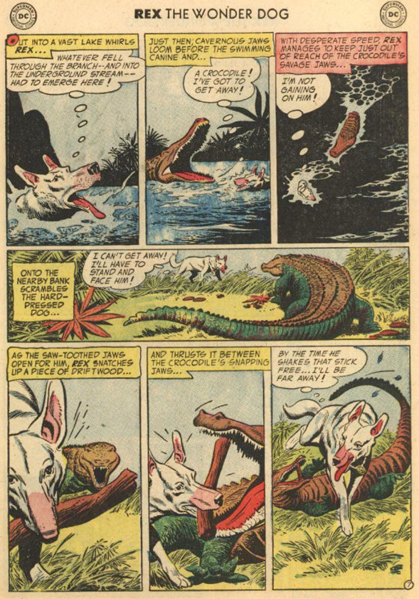 Read online The Adventures of Rex the Wonder Dog comic -  Issue #13 - 9