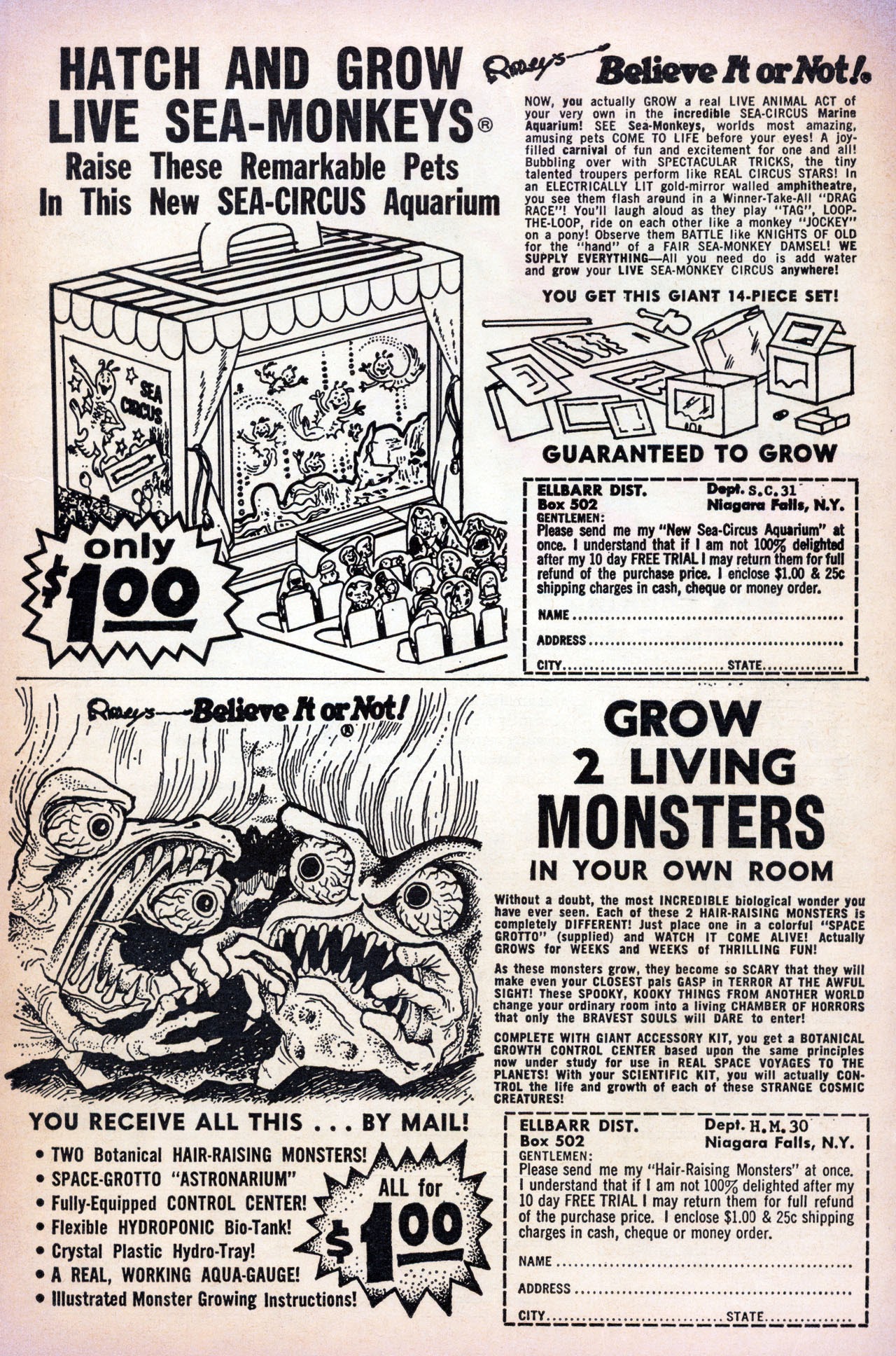 Read online Patsy and Hedy comic -  Issue #100 - 35