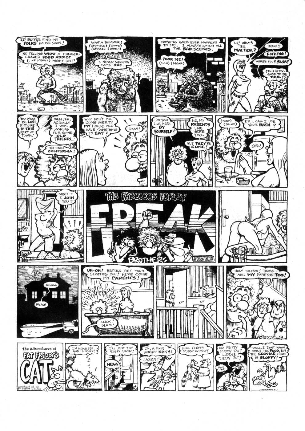 Read online The Fabulous Furry Freak Brothers comic -  Issue #2 - 41