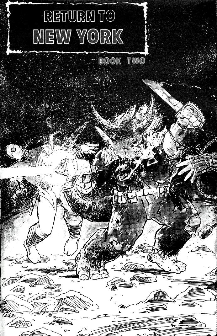 Teenage Mutant Ninja Turtles (1984) Issue #19 #19 - English 45