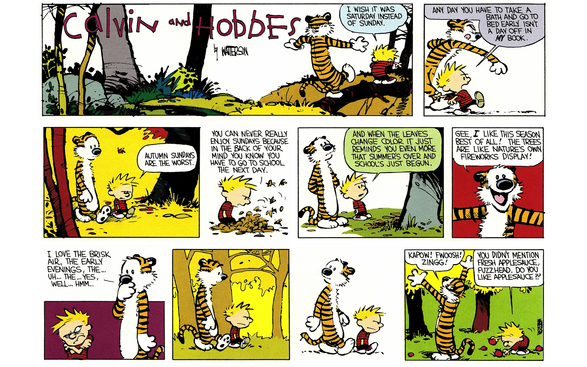 Read online Calvin and Hobbes comic -  Issue #3 - 94