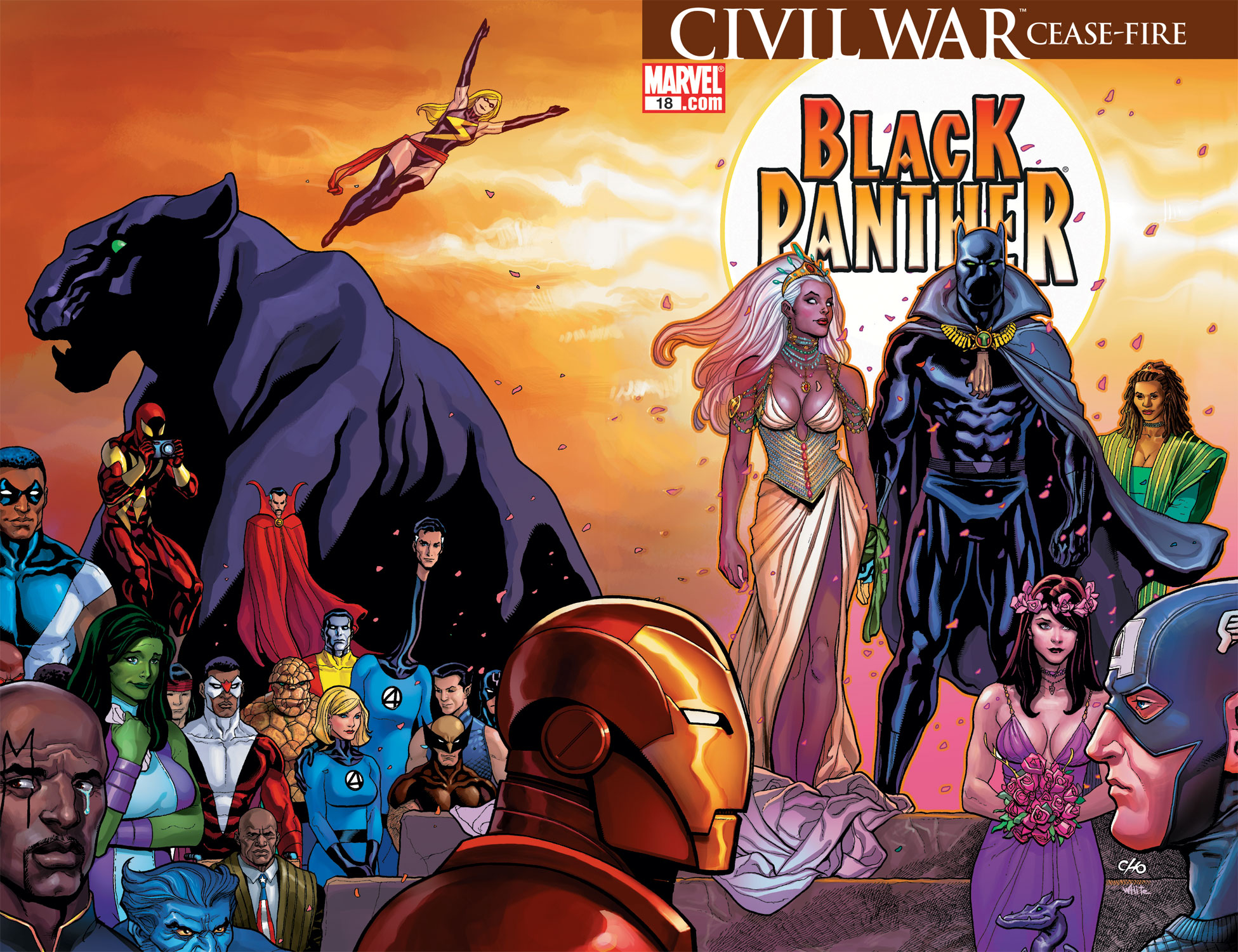 Read online Black Panther (2005) comic -  Issue #18 - 1