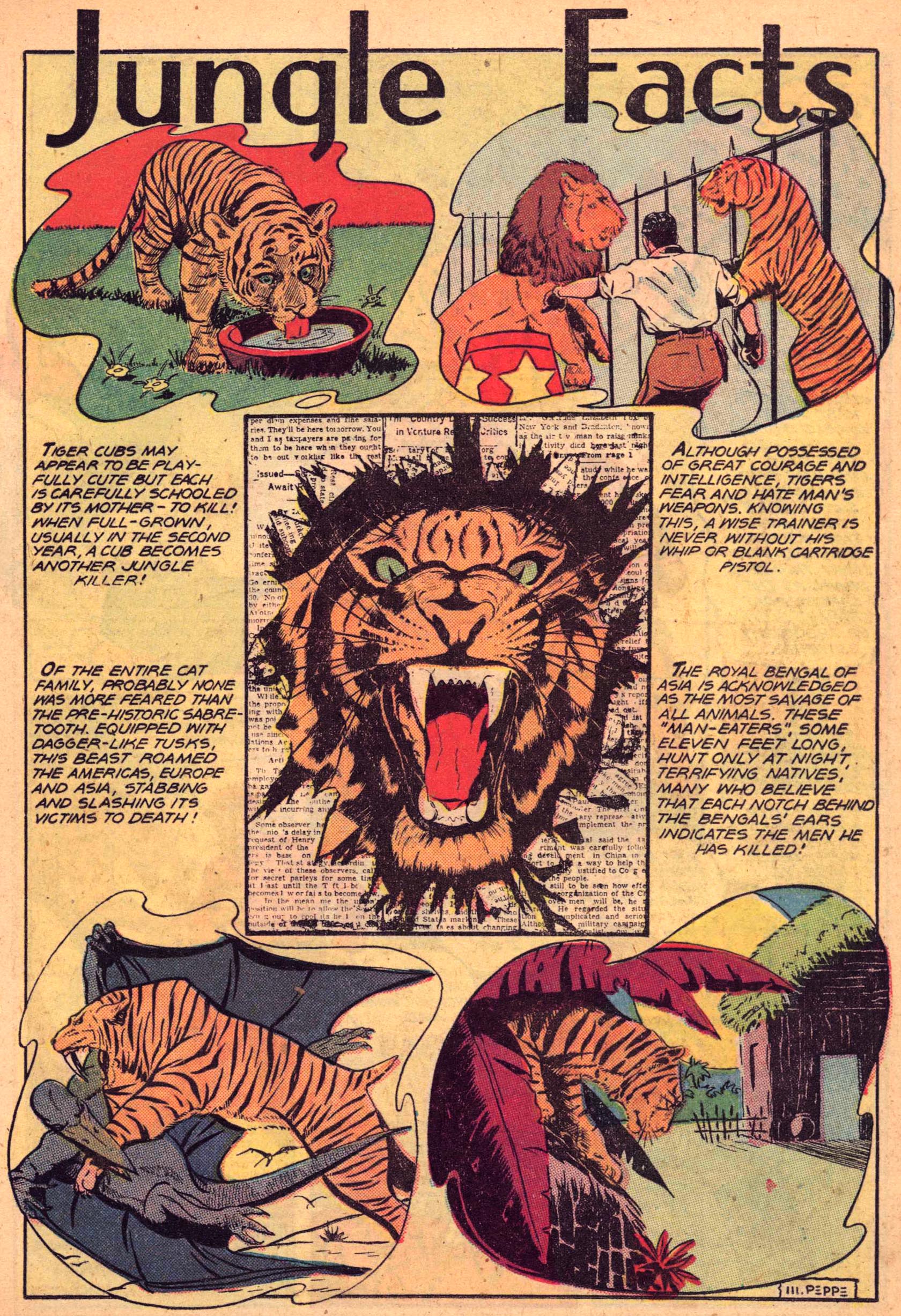 Read online Jungle Comics comic -  Issue #99 - 19