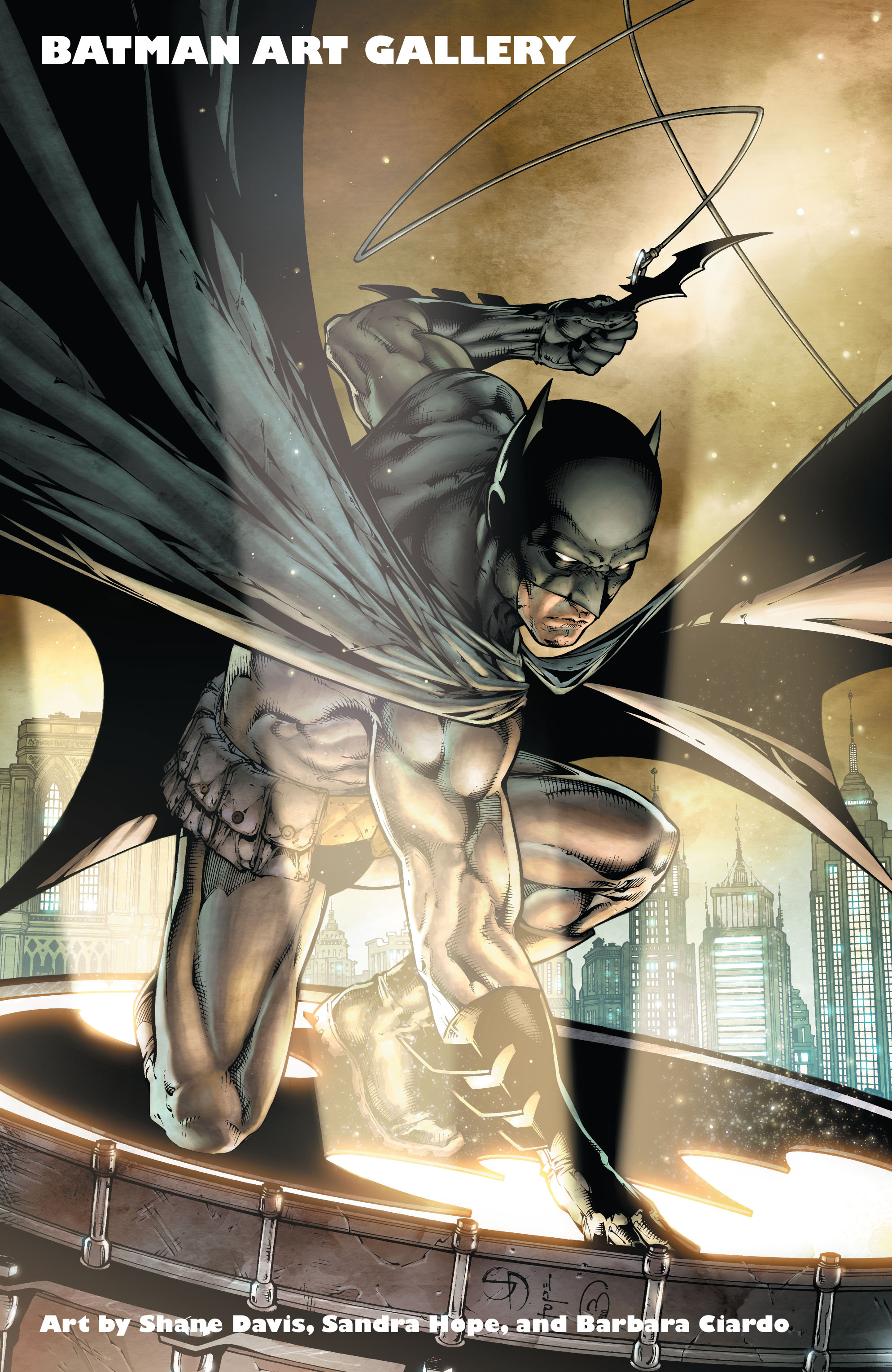Read online Batman (1940) comic -  Issue #700 - 36