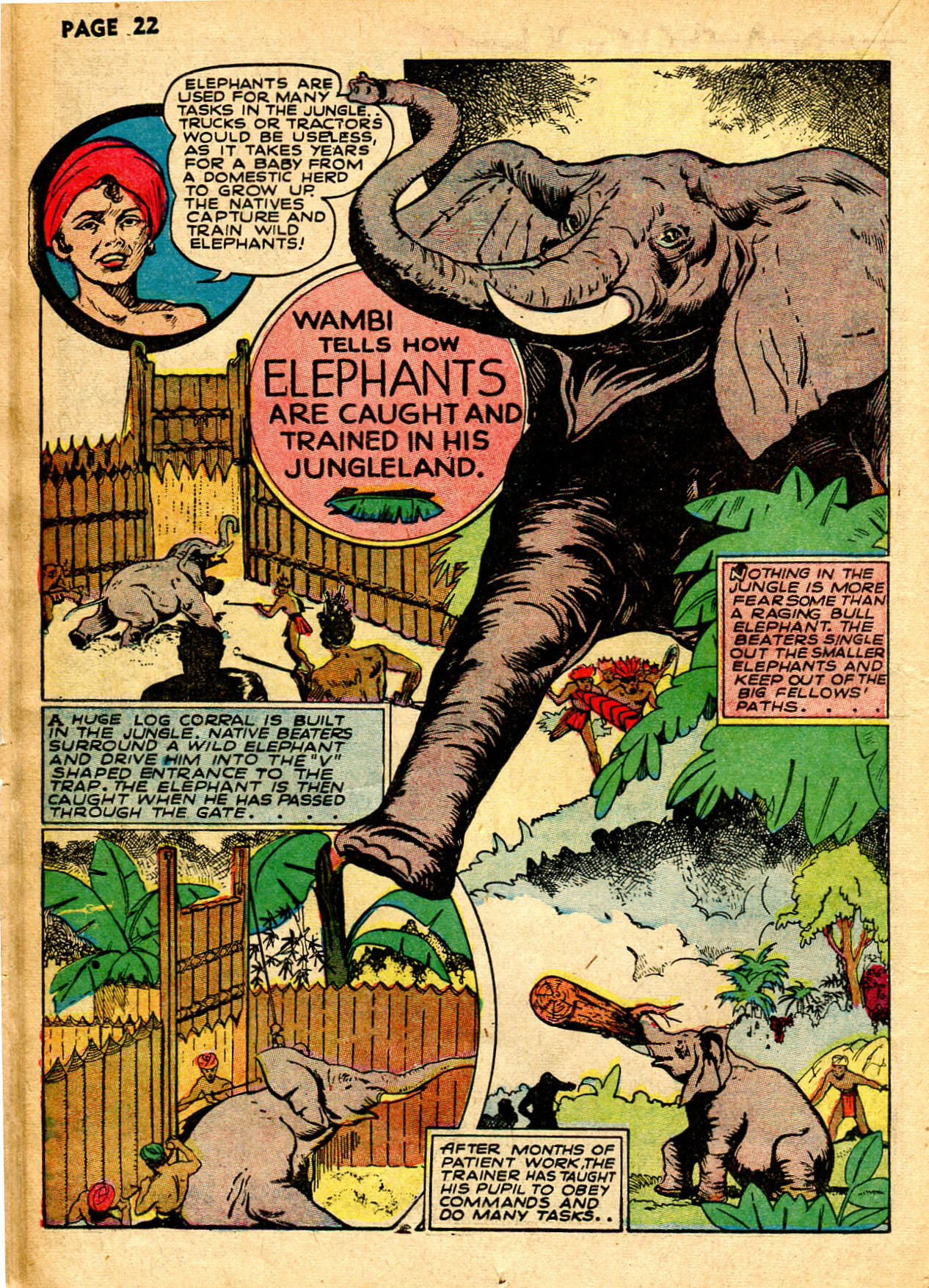 Read online Wambi Jungle Boy comic -  Issue #1 - 25