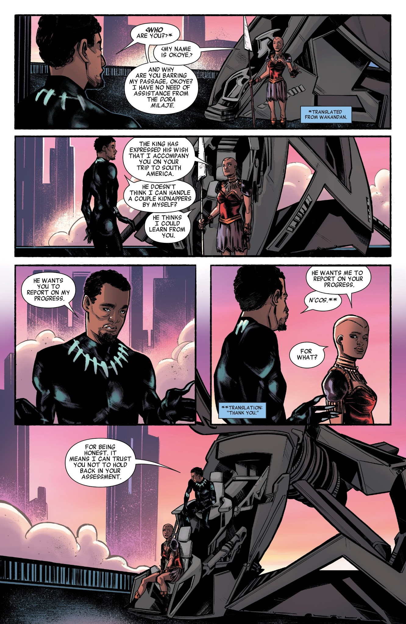 Read online Marvel's Black Panther Prelude comic -  Issue #1 - 14