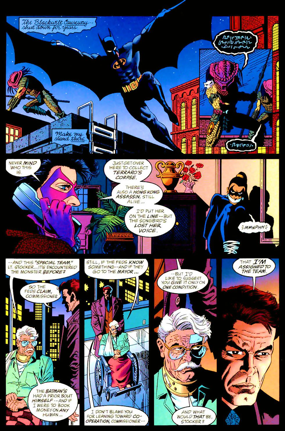 Read online Batman Versus Predator II: Bloodmatch comic -  Issue #3 - 30