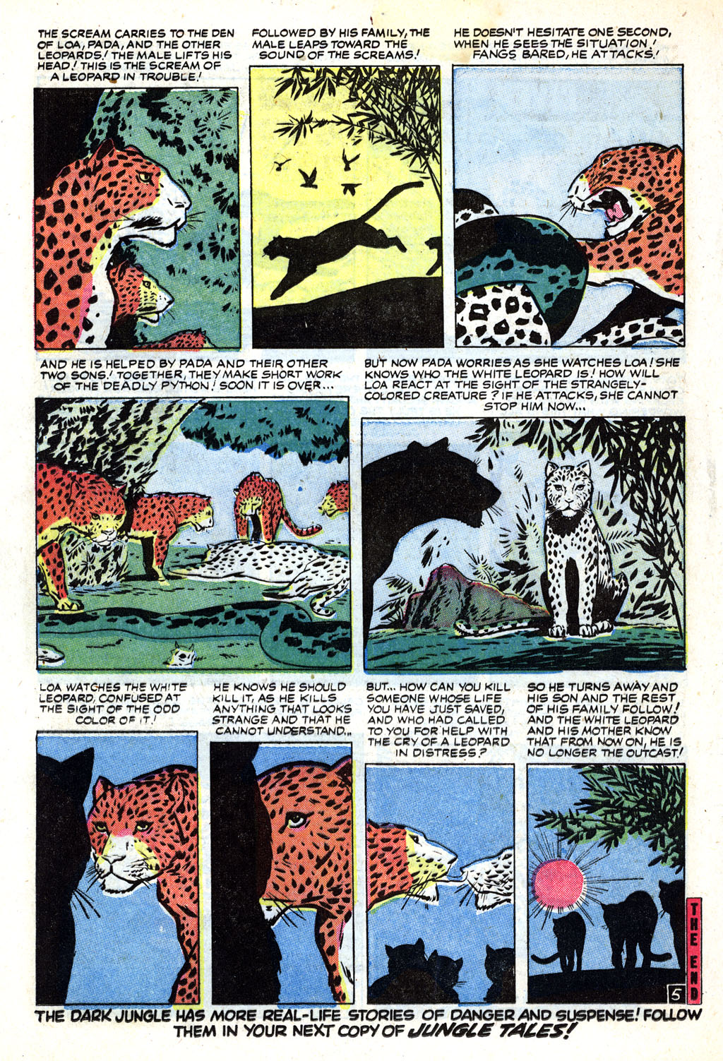 Read online Jungle Tales comic -  Issue #2 - 24