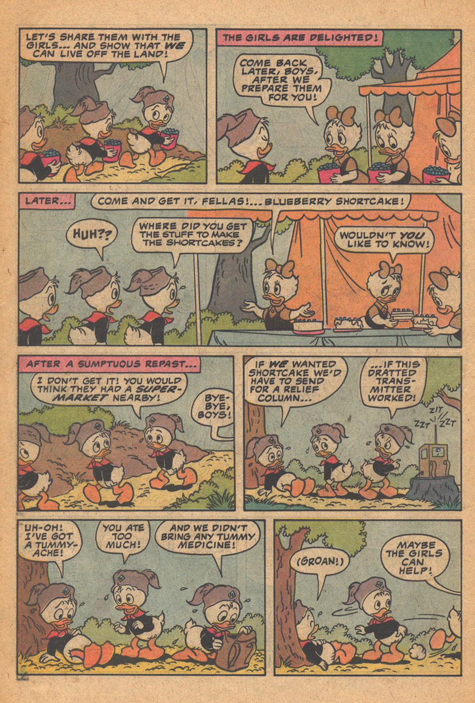Read online Huey, Dewey, and Louie Junior Woodchucks comic -  Issue #77 - 22