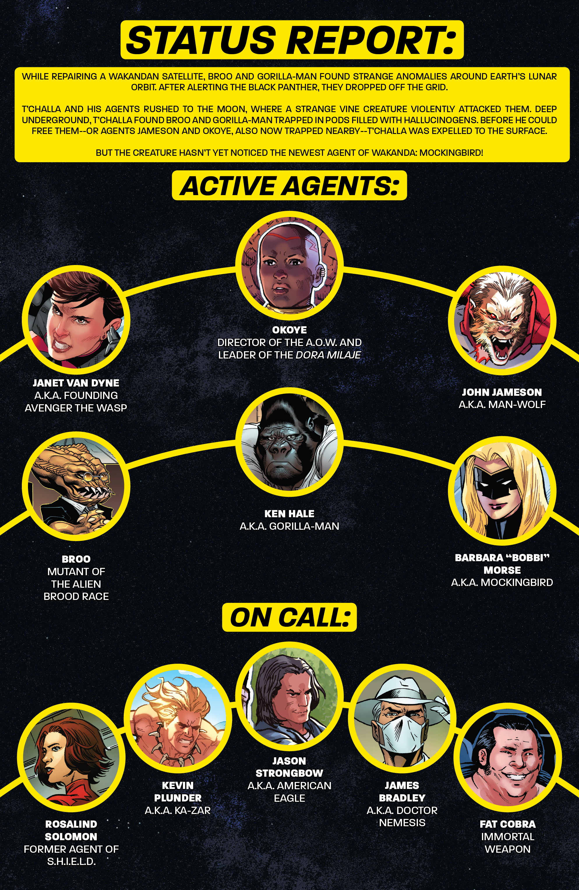 Read online Black Panther and the Agents of Wakanda comic -  Issue #4 - 3