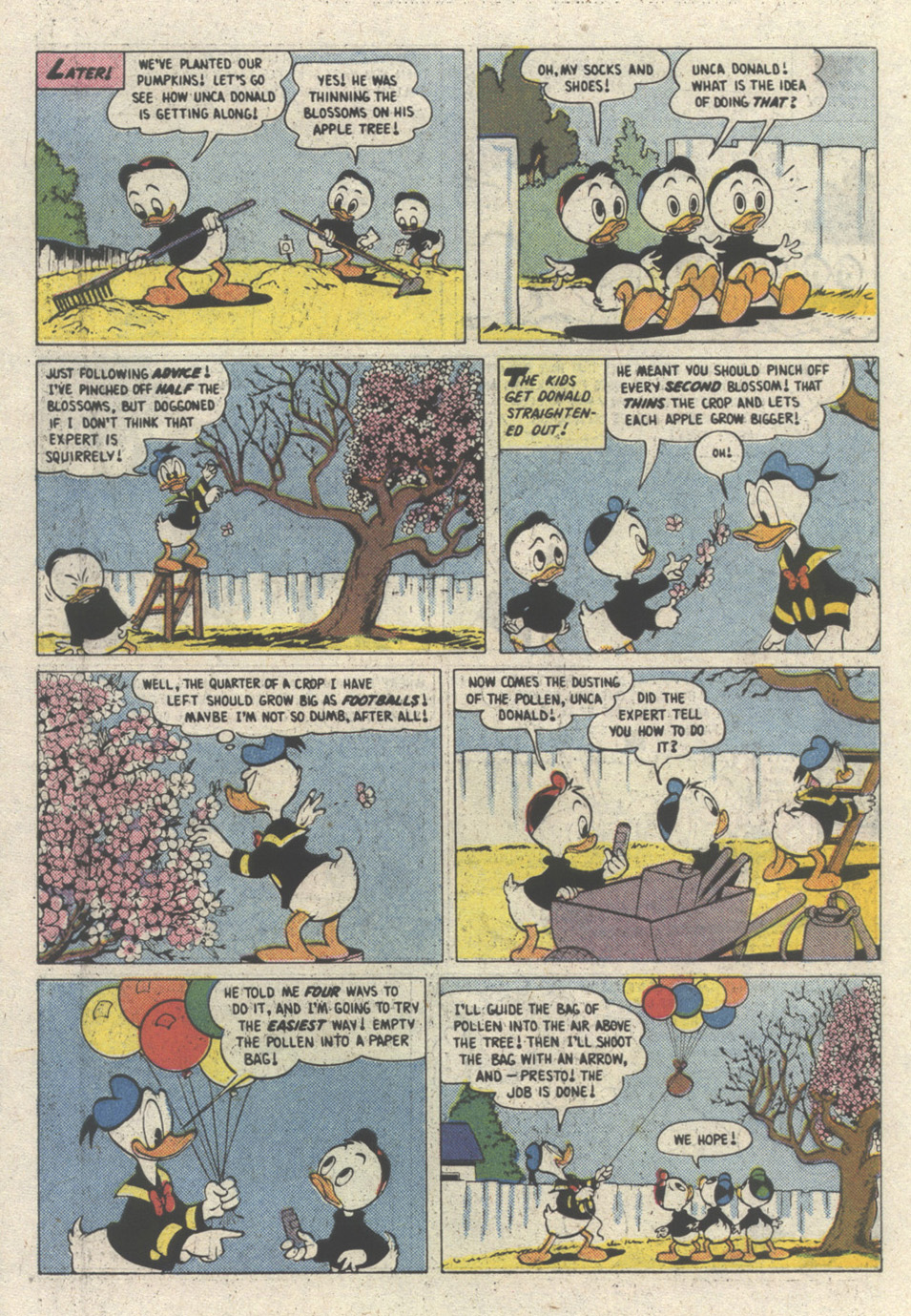 Read online Walt Disney's Donald Duck (1952) comic -  Issue #269 - 6