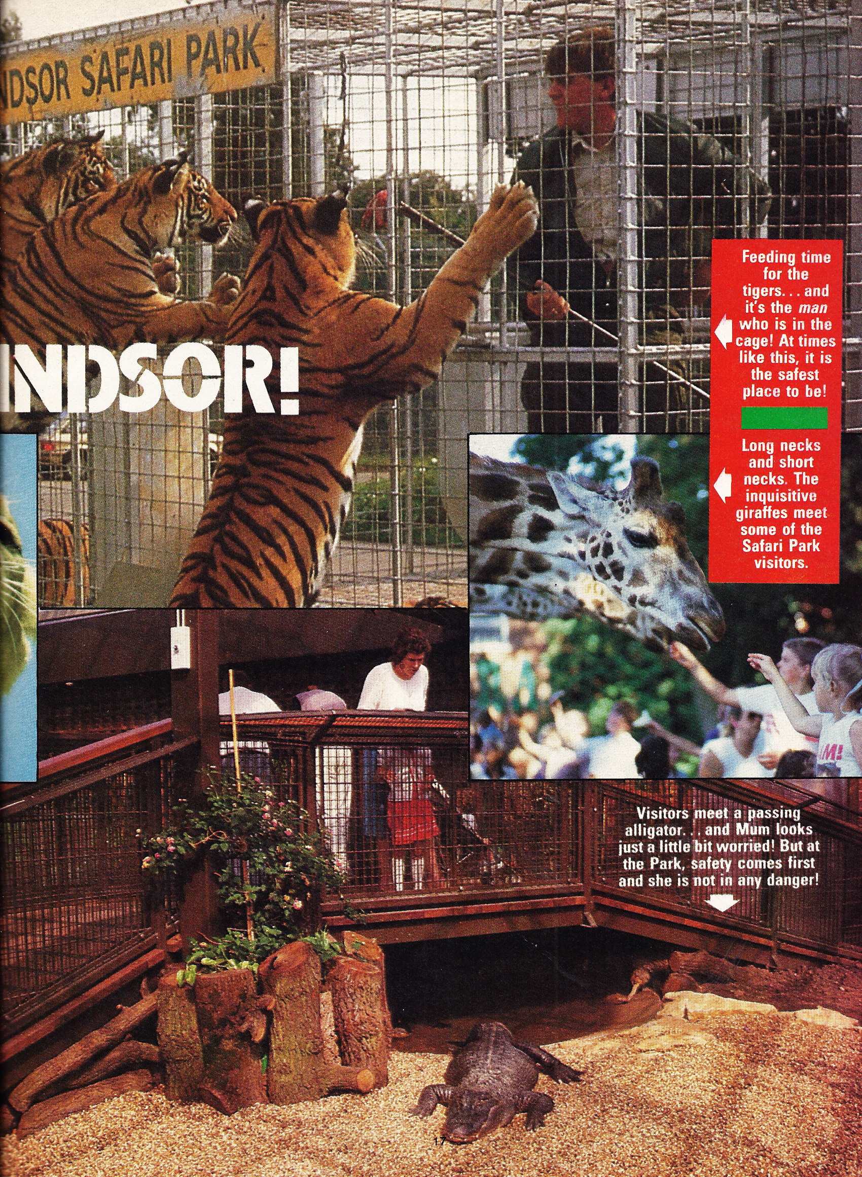 Read online Eagle Holiday Special comic -  Issue #7 - 17