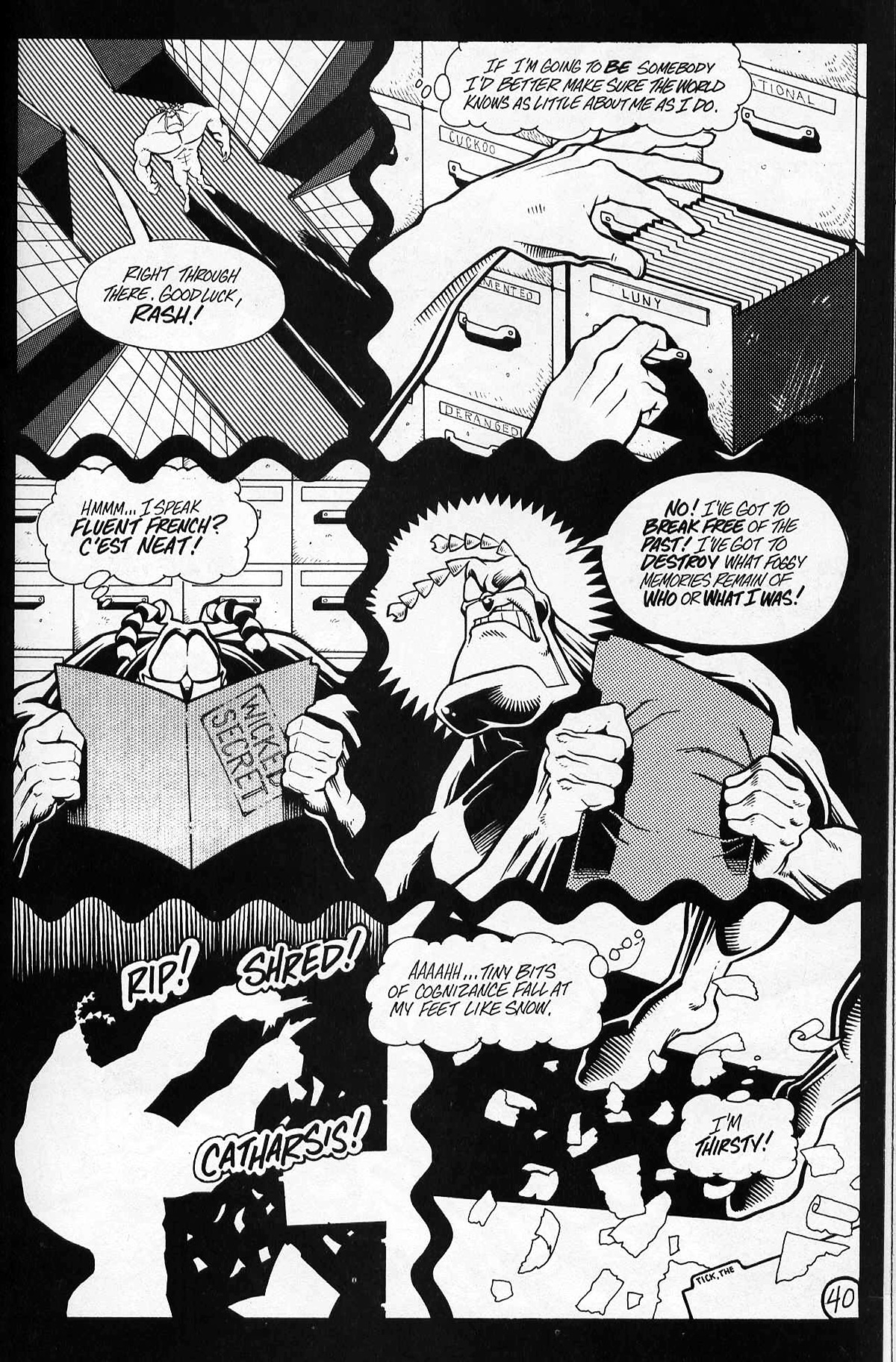 Read online The Tick: The Luny Bin Trilogy comic -  Issue #2 - 18